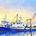 fisk fiskeri skib båd båt hav havn